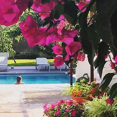 Horta D'En Rahola - Adults Only Otel Cadaqués Dış mekan fotoğraf